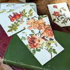 20 Postcard In A Tin | Rosehip & Roses
