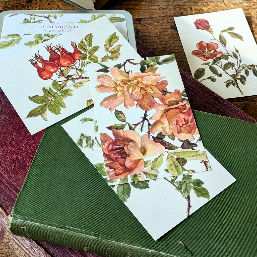 20 Postcard In A Tin | Rosehip & Roses