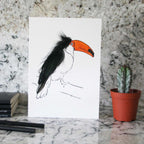 Toucan Card