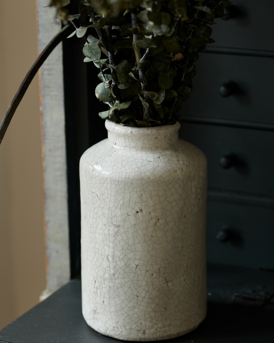 Preserved Baby Eucalyptus Bundle