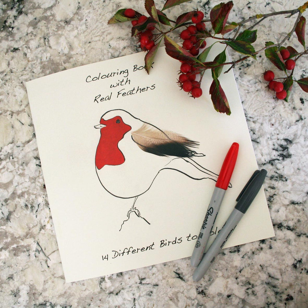 Colouring Book with Feathers